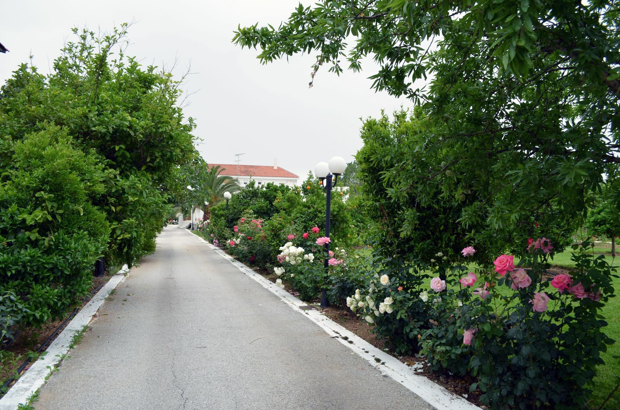 Olive Mansion Suites Marathon  Exterior photo