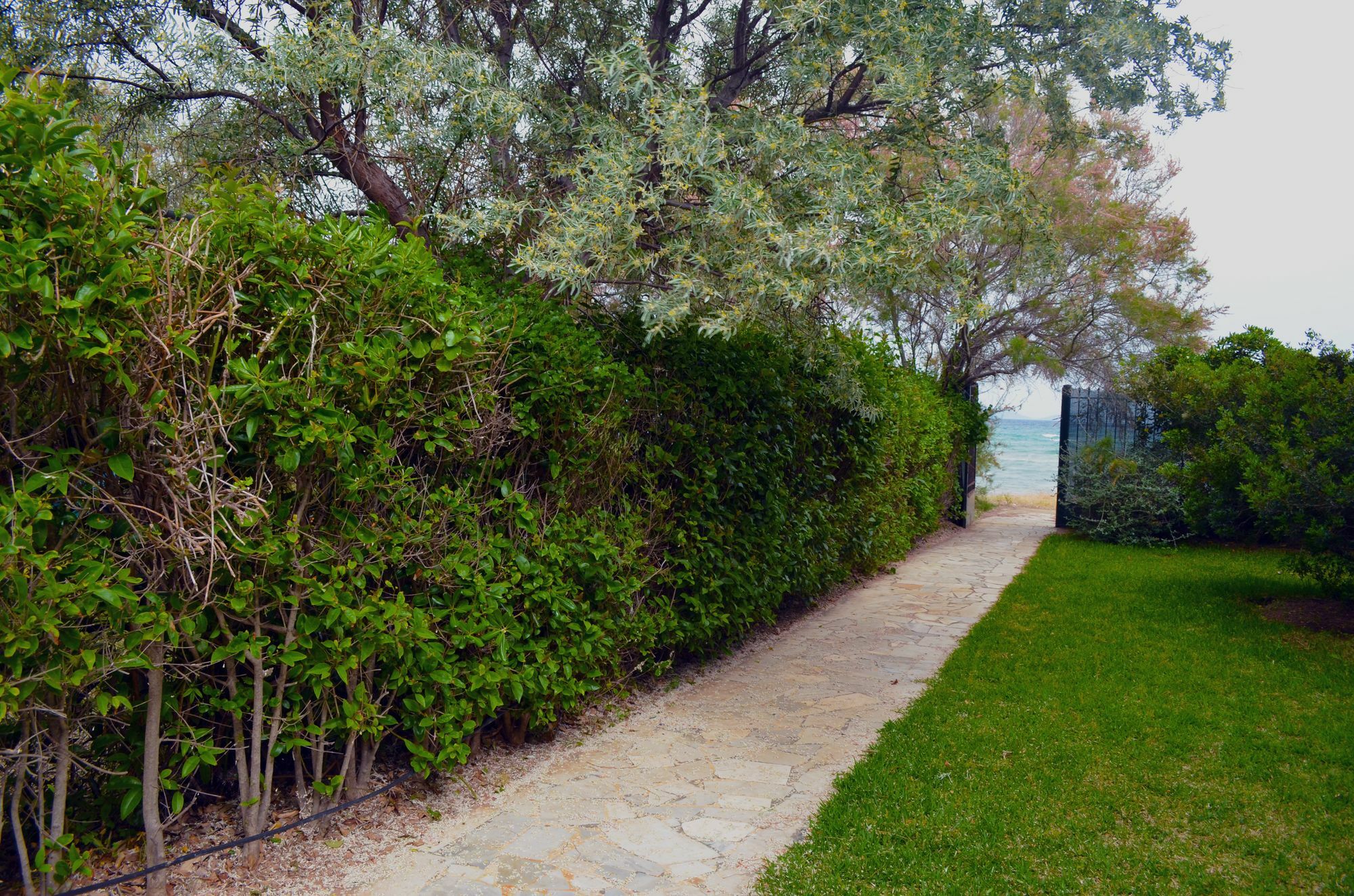 Olive Mansion Suites Marathon  Exterior photo